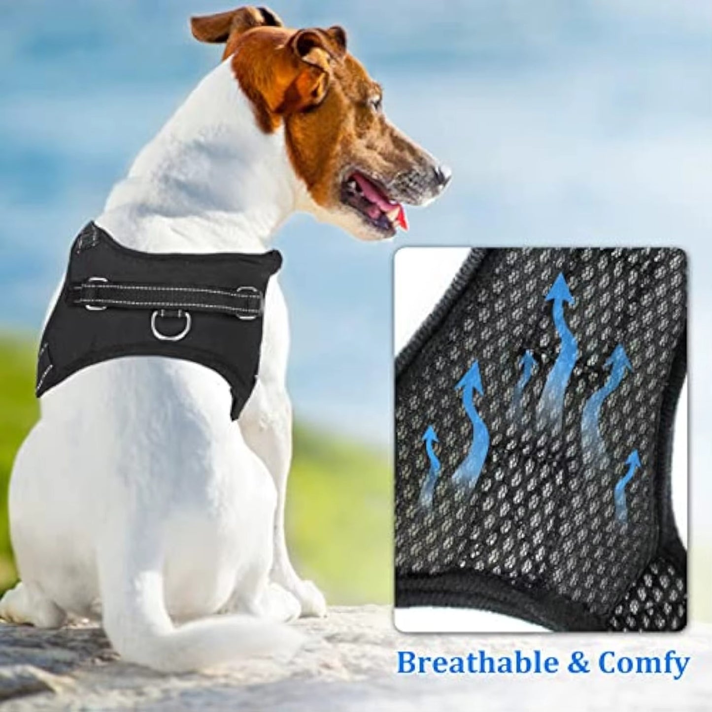 Earth - Reflekterande hundsele No Pull