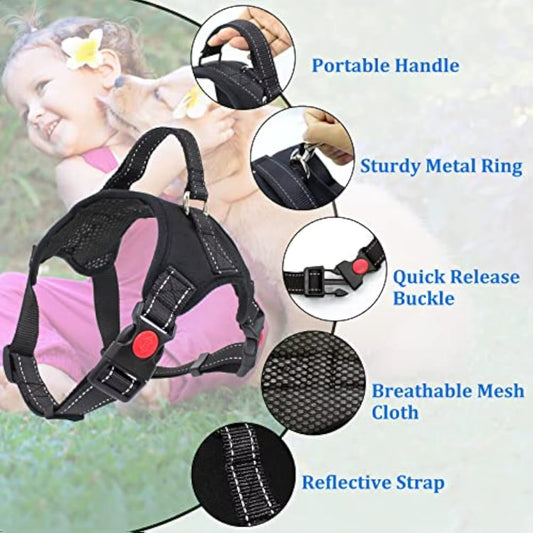 Earth - Reflekterande hundsele No Pull