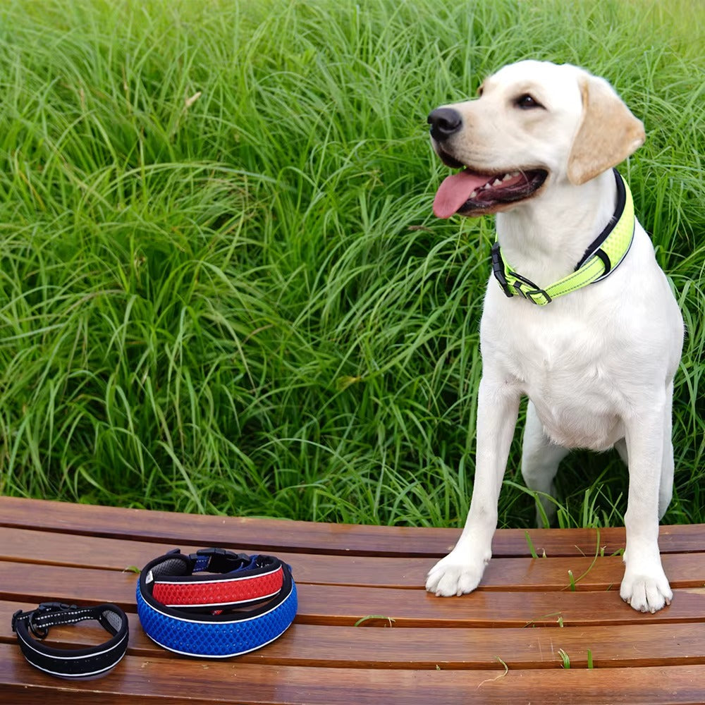 Venus - Andningsbart hundhalsband med reflekterande ljusremsa