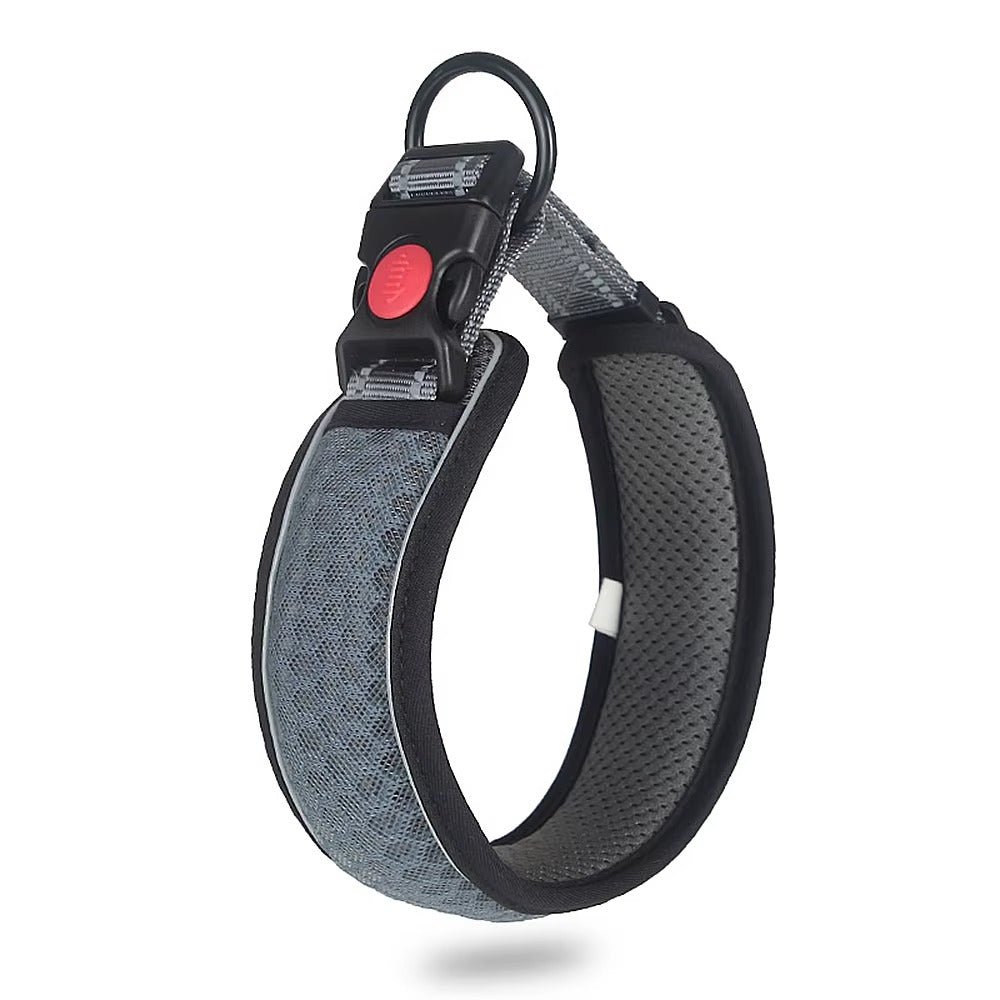 Venus - Andningsbart hundhalsband med reflekterande ljusremsa