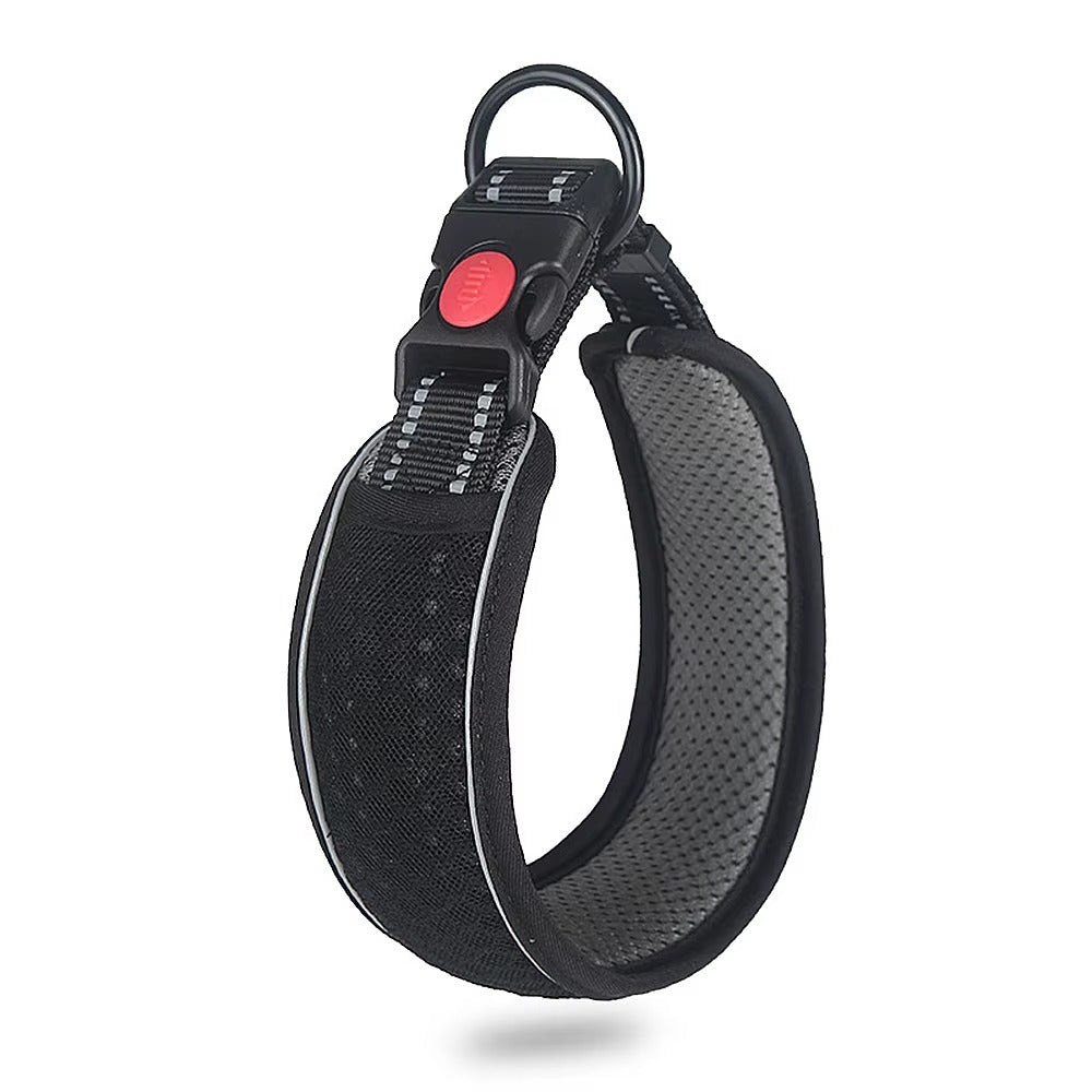 Venus - Andningsbart hundhalsband med reflekterande ljusremsa
