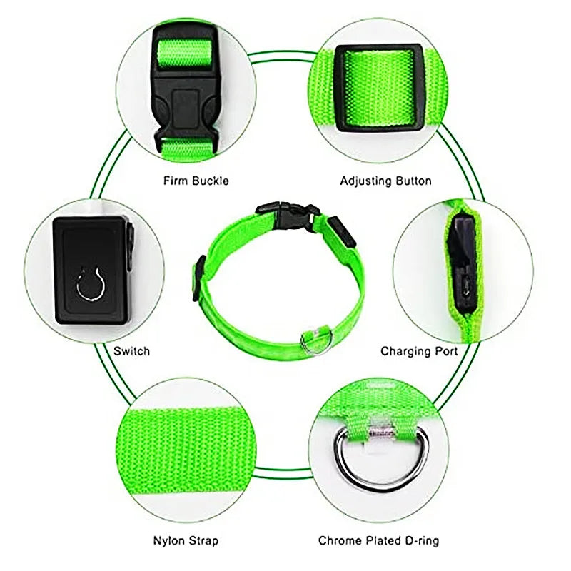 Rubys - LED-blinkande hundhalsband
