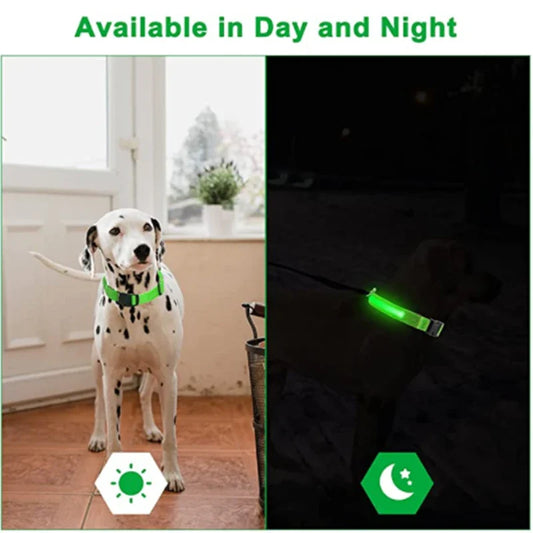 Rubys - LED-blinkande hundhalsband