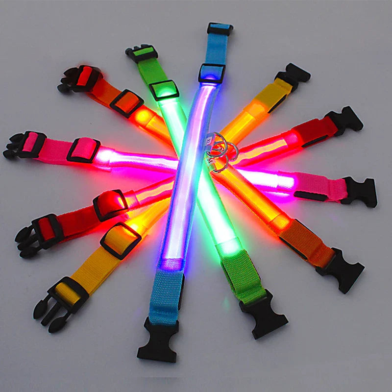 Rubys - LED-blinkande hundhalsband
