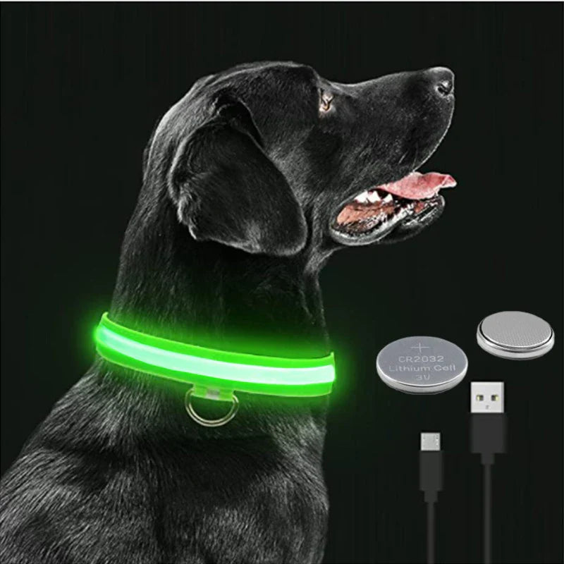 Rubys - LED-blinkande hundhalsband