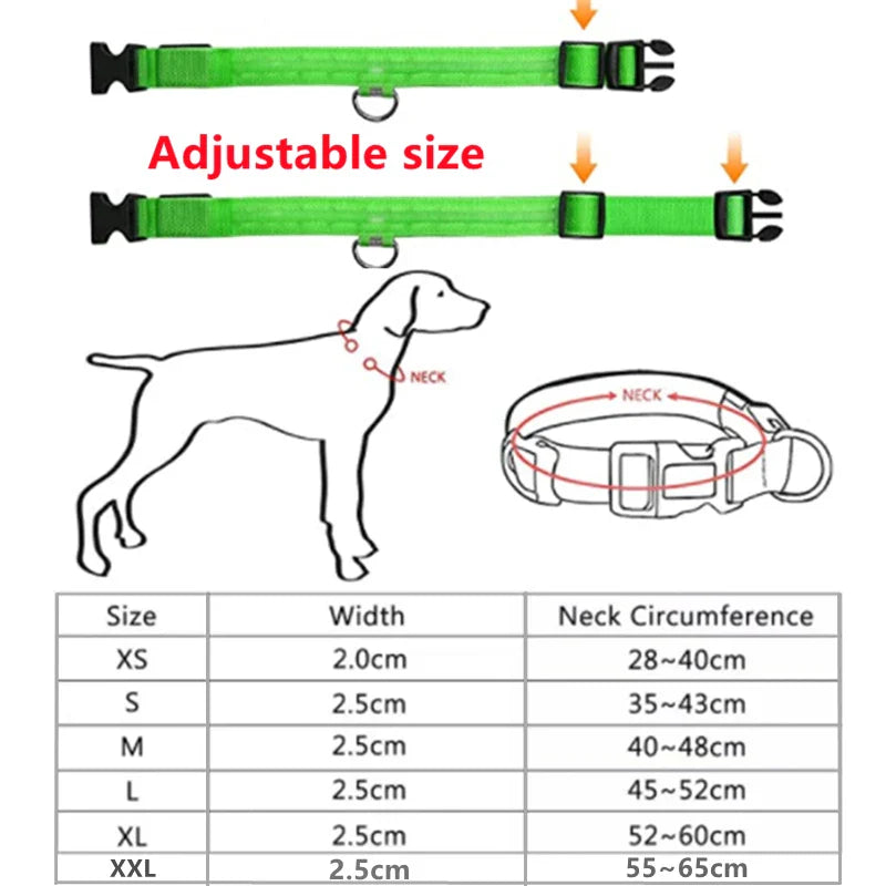 Rubys - LED-blinkande hundhalsband