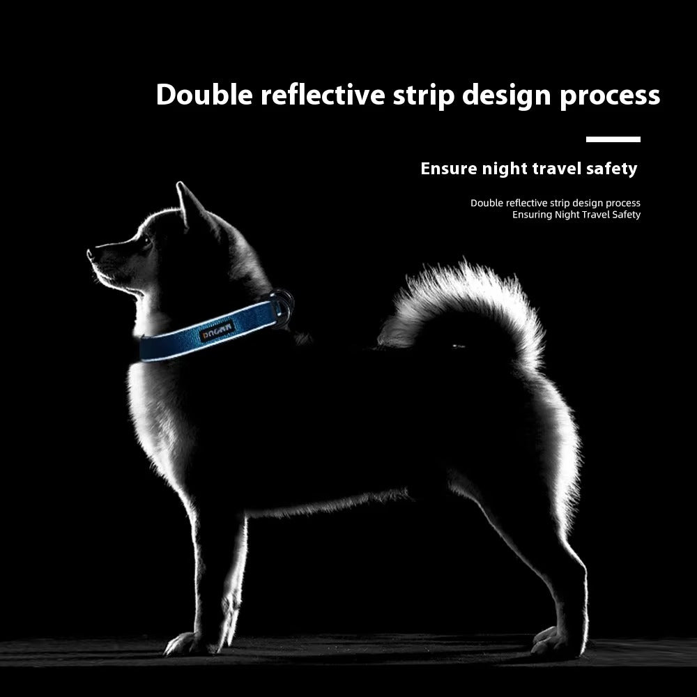Mercurie - Reflekterande hundhalsband med dubbla D-ringar