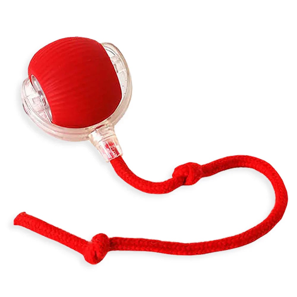 Lilis - Interaktiva leksaksboll