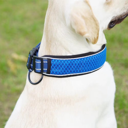 Venus - Andningsbart hundhalsband med reflekterande ljusremsa
