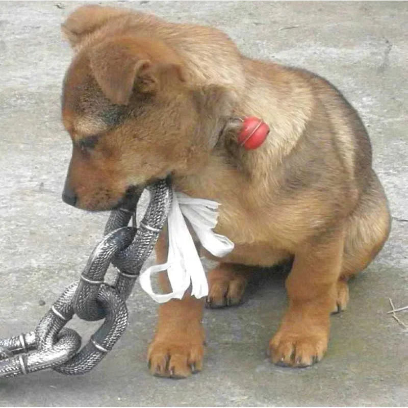 Julius - Överdimensionerat fejkat kedjekoppel för hundar