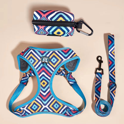 Jupiter - Hjärtdesignad hundsele koppel set