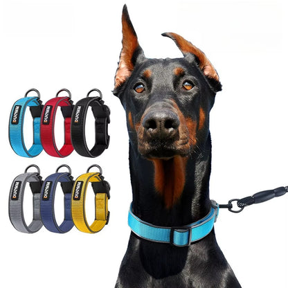 Mercurie - Reflekterande hundhalsband med dubbla D-ringar