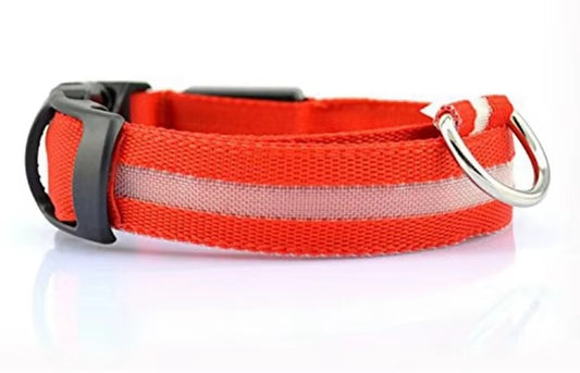 Earths LED hundhalsband med USB laddning