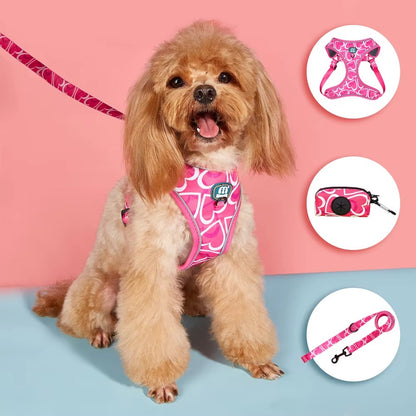 Jupiter - Hjärtdesignad hundsele koppel set