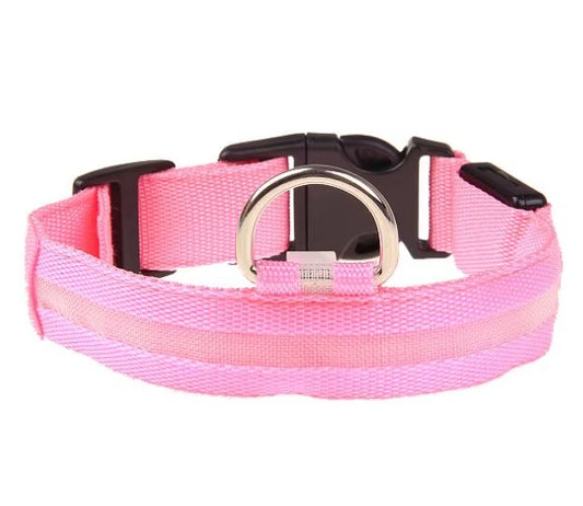 Earths LED hundhalsband med USB laddning