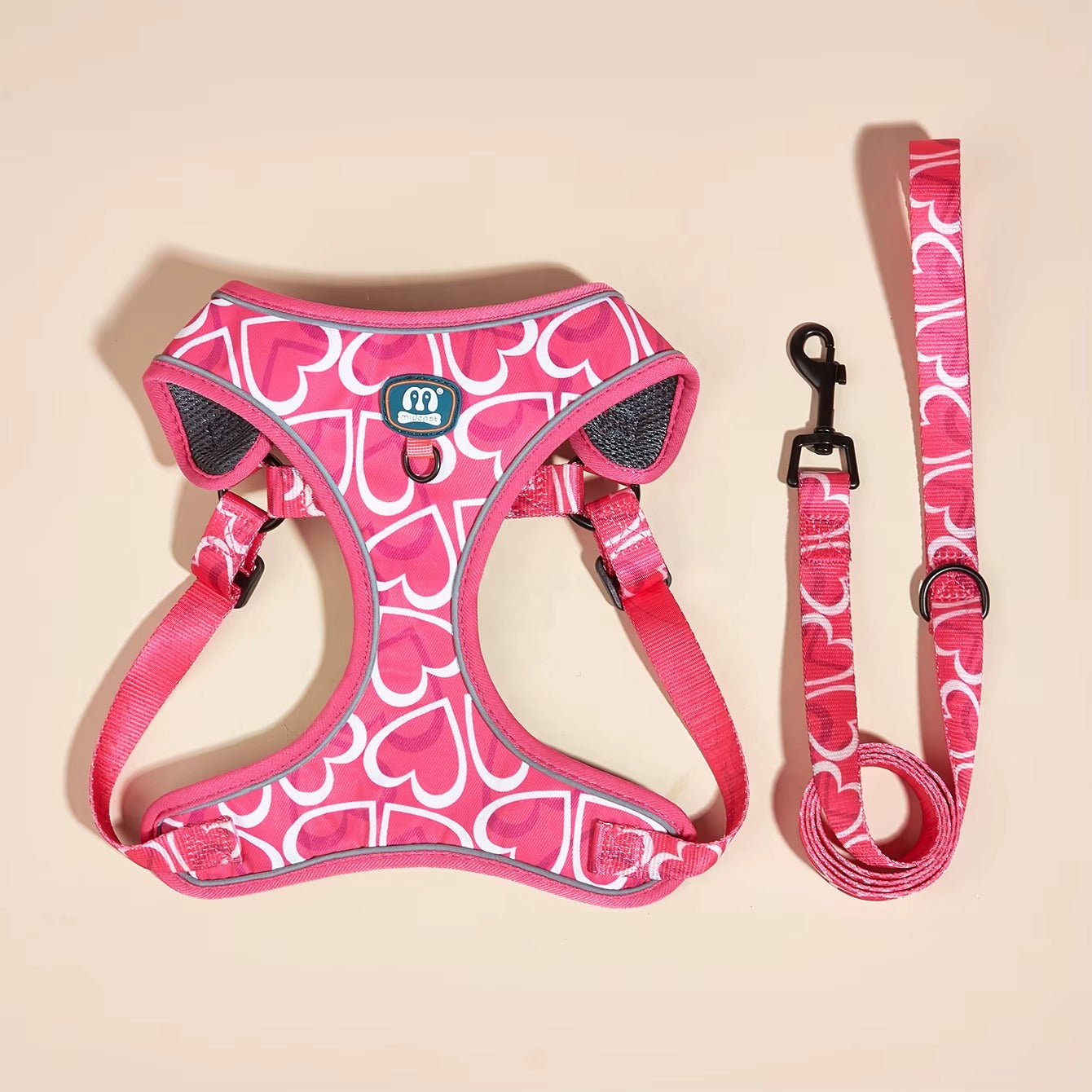 Jupiter - Hjärtdesignad hundsele koppel set