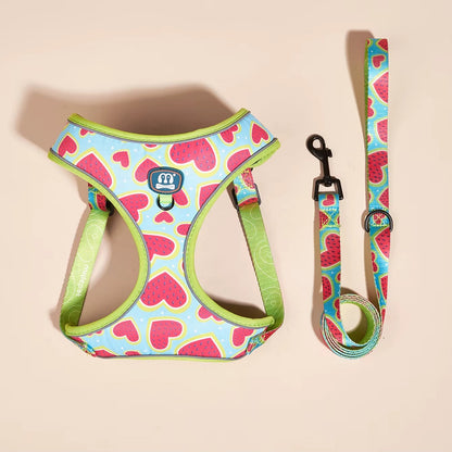 Jupiter - Hjärtdesignad hundsele koppel set