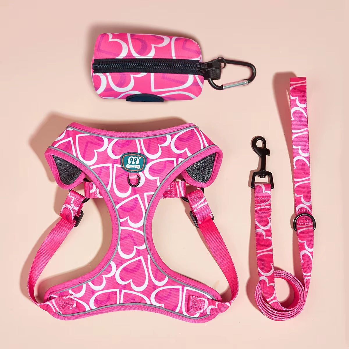 Jupiter - Hjärtdesignad hundsele koppel set