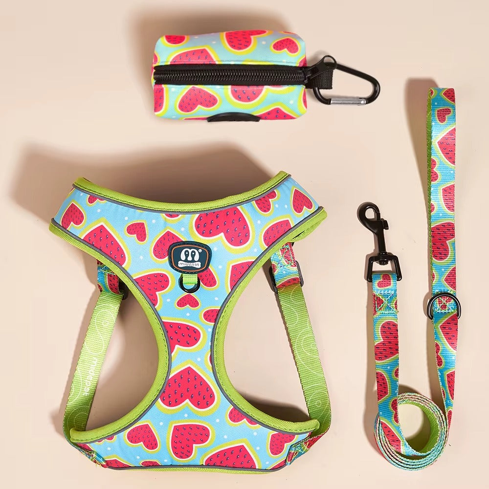 Jupiter - Hjärtdesignad hundsele koppel set