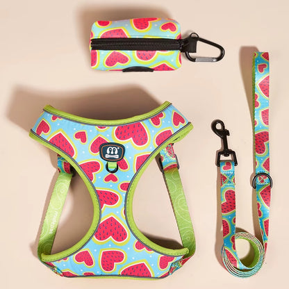 Jupiter - Hjärtdesignad hundsele koppel set