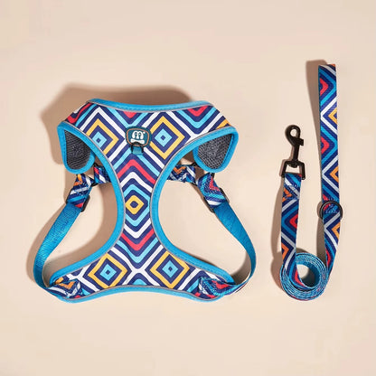 Jupiter - Hjärtdesignad hundsele koppel set