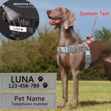 Reflekterande namnskylt till hundsele